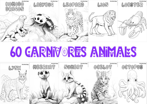 CARNIVORE ANIMALS