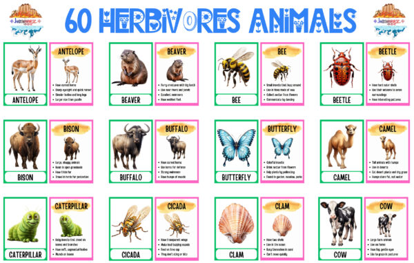 FLASHCARDS: HERBIVORE ANIMALS