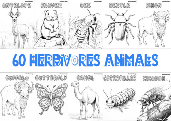 HERBIVORE ANIMALS