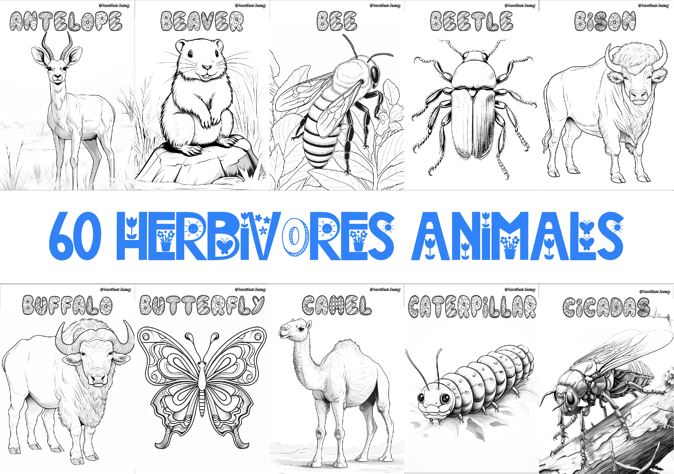 omnivore animals clipart