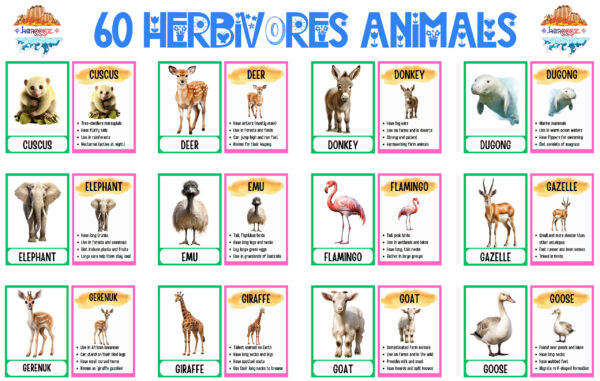 FLASHCARDS: HERBIVORE ANIMALS