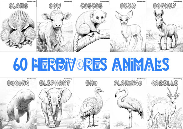 HERBIVORE ANIMALS