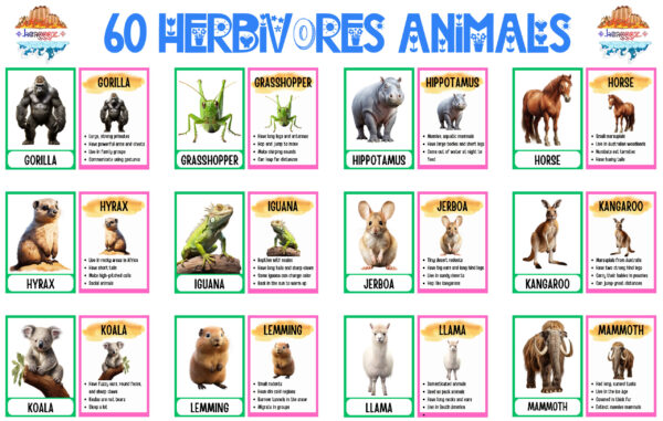 FLASHCARDS: HERBIVORE ANIMALS