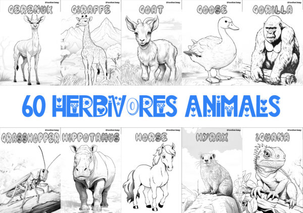 HERBIVORE ANIMALS