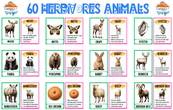 FLASHCARDS: HERBIVORE ANIMALS