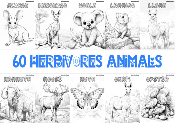 HERBIVORE ANIMALS