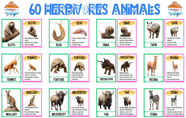 FLASHCARDS: HERBIVORE ANIMALS