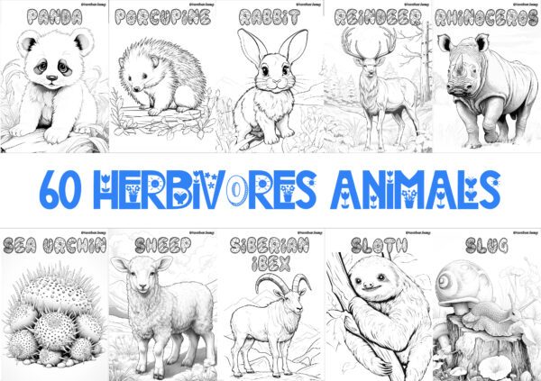 HERBIVORE ANIMALS