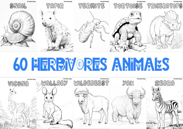 HERBIVORE ANIMALS