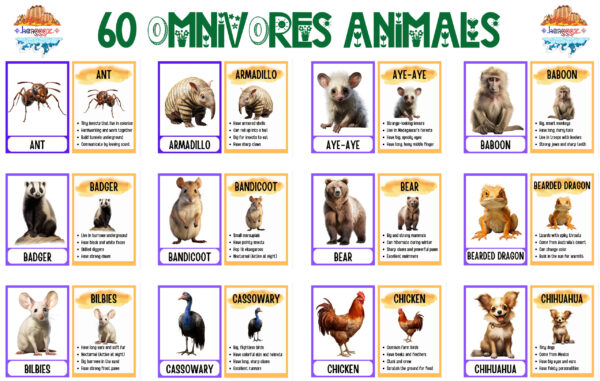 FLASHCARDS: OMNIVORE ANIMALS