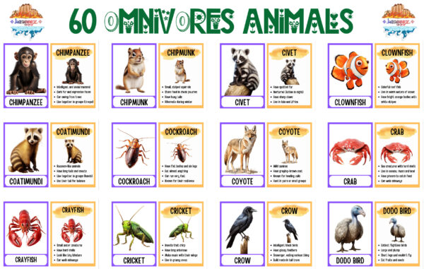 FLASHCARDS: OMNIVORE ANIMALS