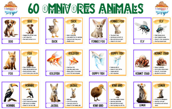 FLASHCARDS: OMNIVORE ANIMALS