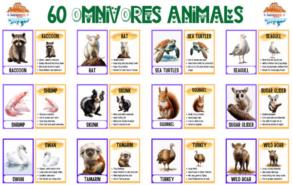 FLASHCARDS: OMNIVORE ANIMALS